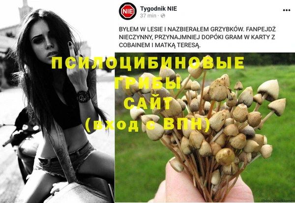 мяу мяу мука Волоколамск