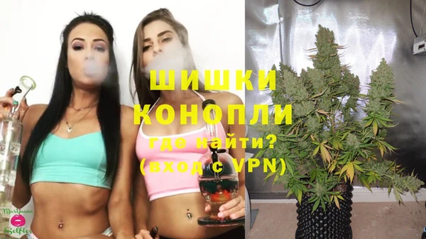 мяу мяу мука Волоколамск