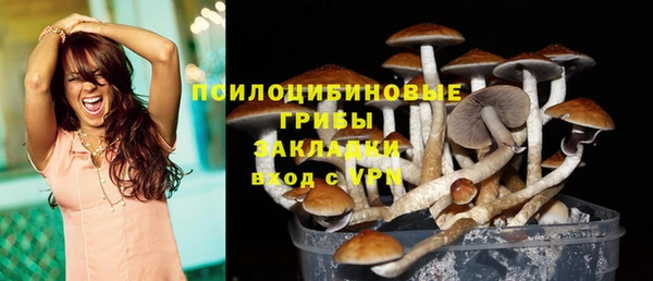 мяу мяу мука Волоколамск