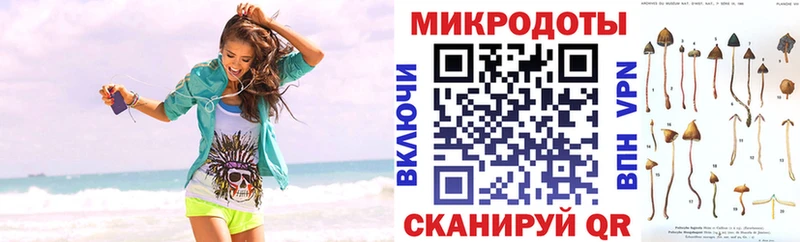 Псилоцибиновые грибы прущие грибы  Новосиль 